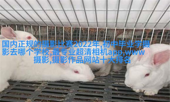 高云翔董璇曝国民风全家福