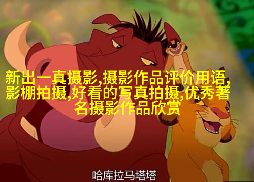 韩国女摄影师高楼悬崖边缘照