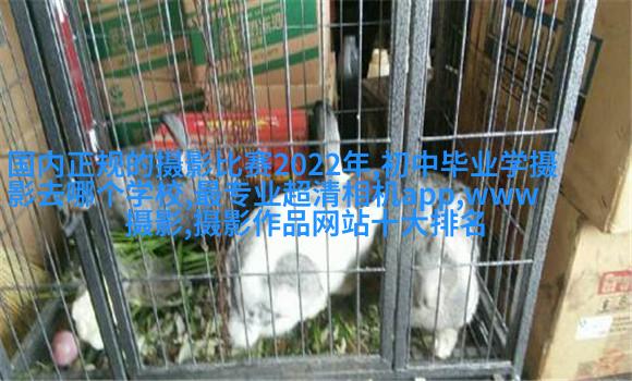 高云翔董璇曝国民风全家福
