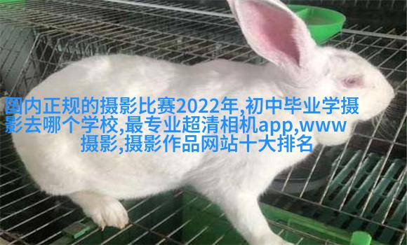 高云翔董璇曝国民风全家福