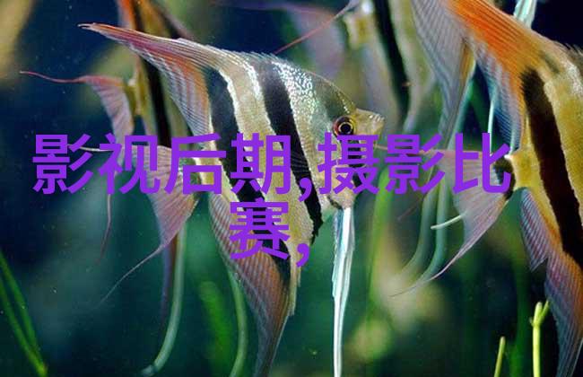 人像摄影基础：背景虚化