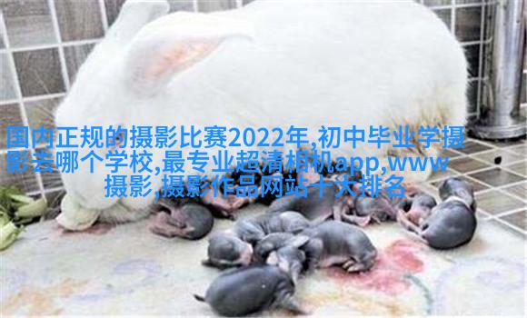 高云翔董璇曝国民风全家福
