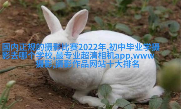 高云翔董璇曝国民风全家福