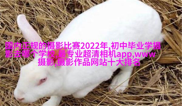高云翔董璇曝国民风全家福