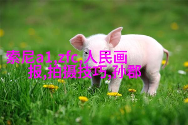 小清新人像5大拍摄手法