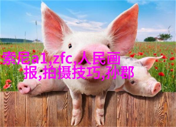 小清新人像5大拍摄手法